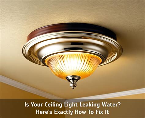 water leaking from light fixture|How To Address Water Leaking From Your Light Fixture